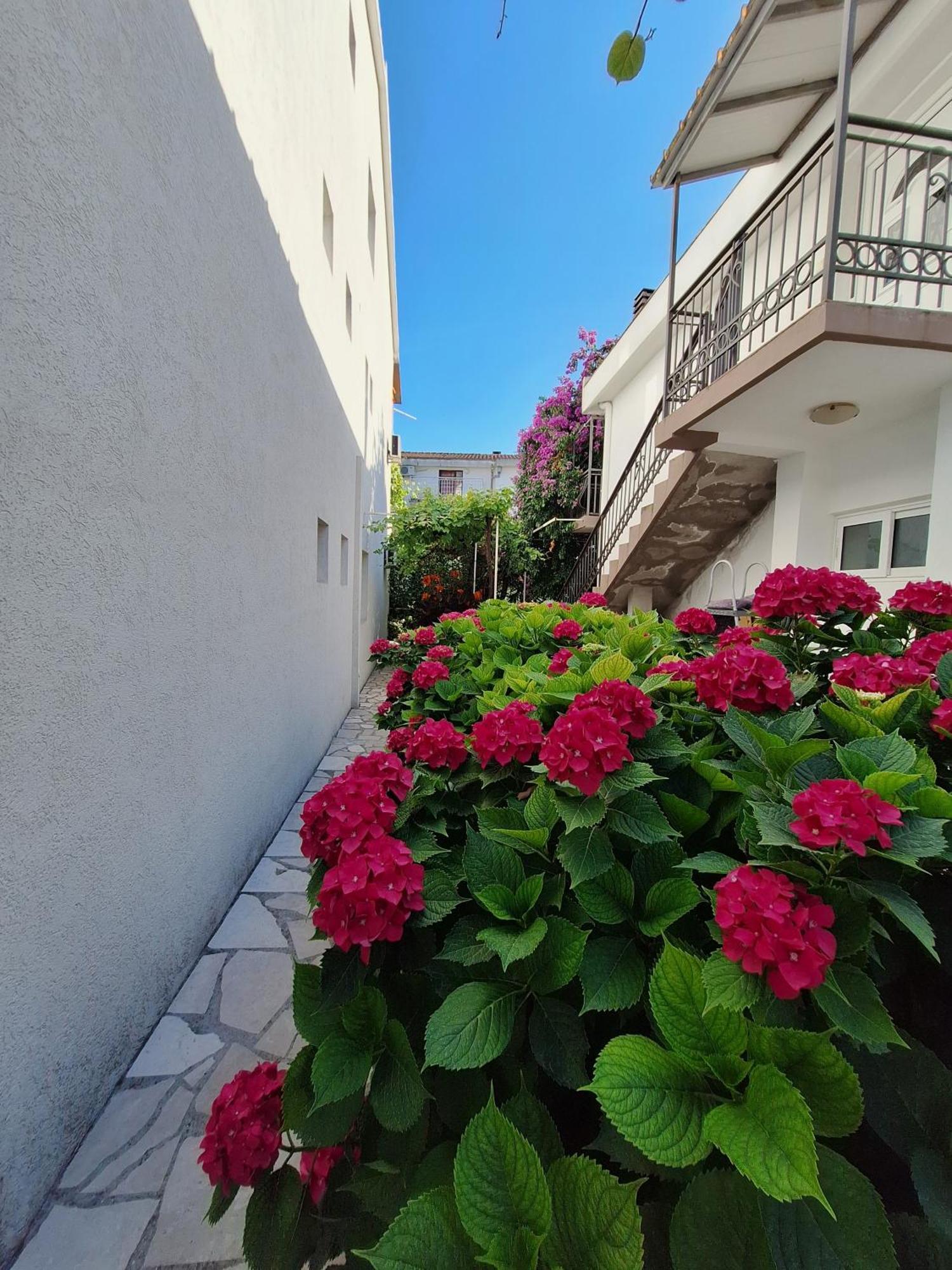 Apartmani Hortenzija บุดวา ภายนอก รูปภาพ