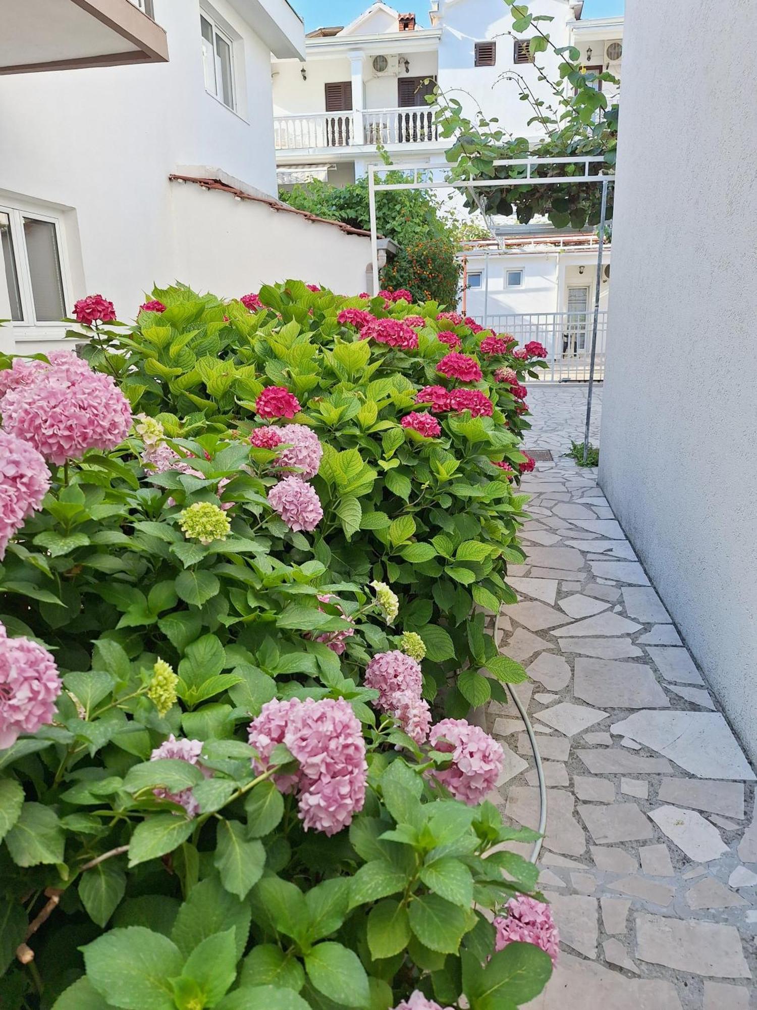 Apartmani Hortenzija บุดวา ภายนอก รูปภาพ