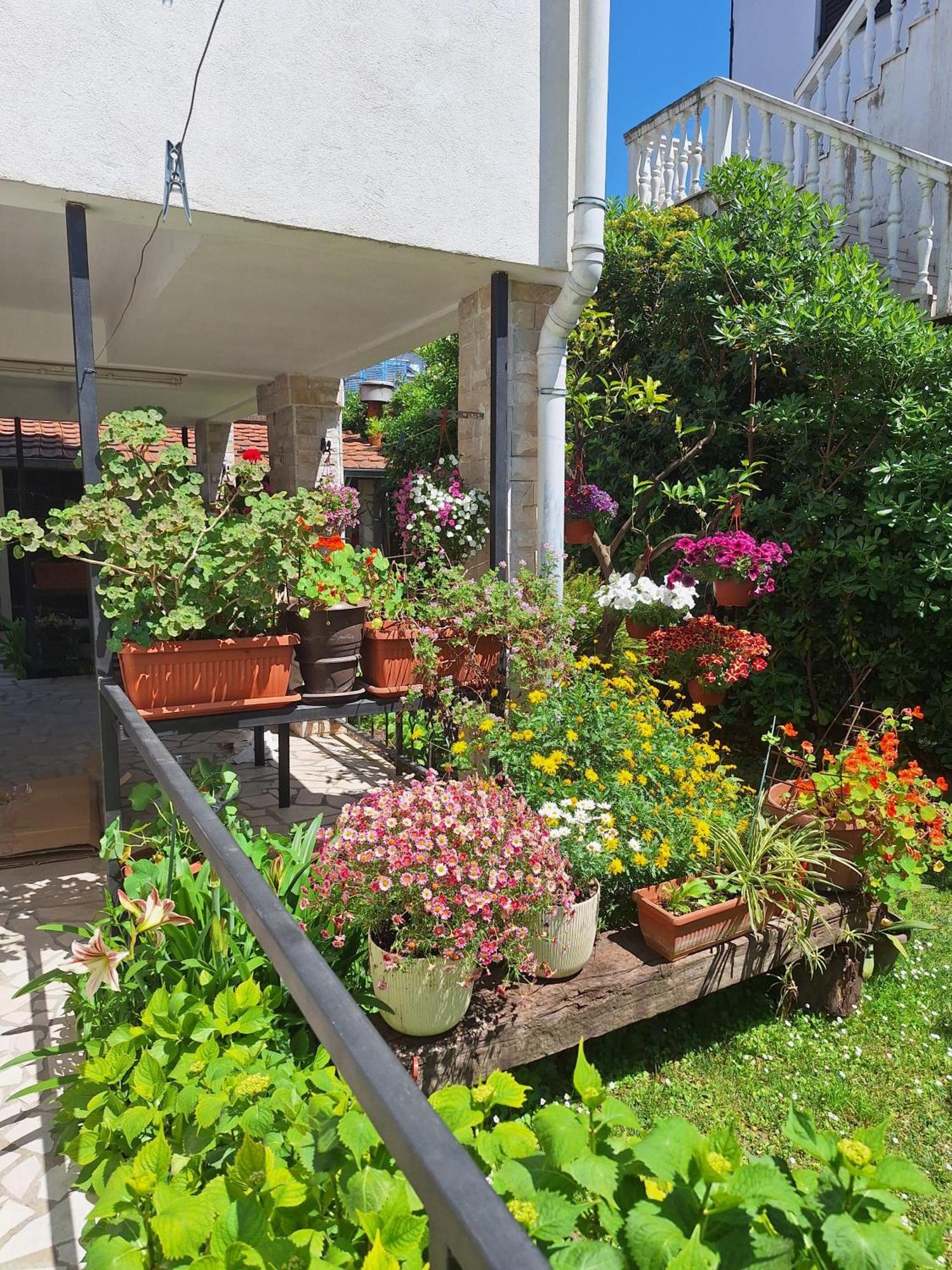 Apartmani Hortenzija บุดวา ภายนอก รูปภาพ